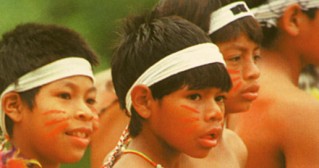 Memória Viva Guarani